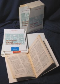 DICCIONARIO MANUAL CASTELAN GALEGO 001